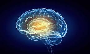 Digital illustration of a glowing human brain with neural connections on a dark background