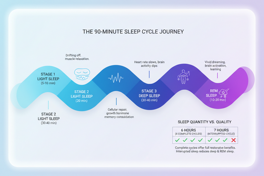 Sleep Cycles Explained: Why Uninterrupted Sleep Matters More Than Hours